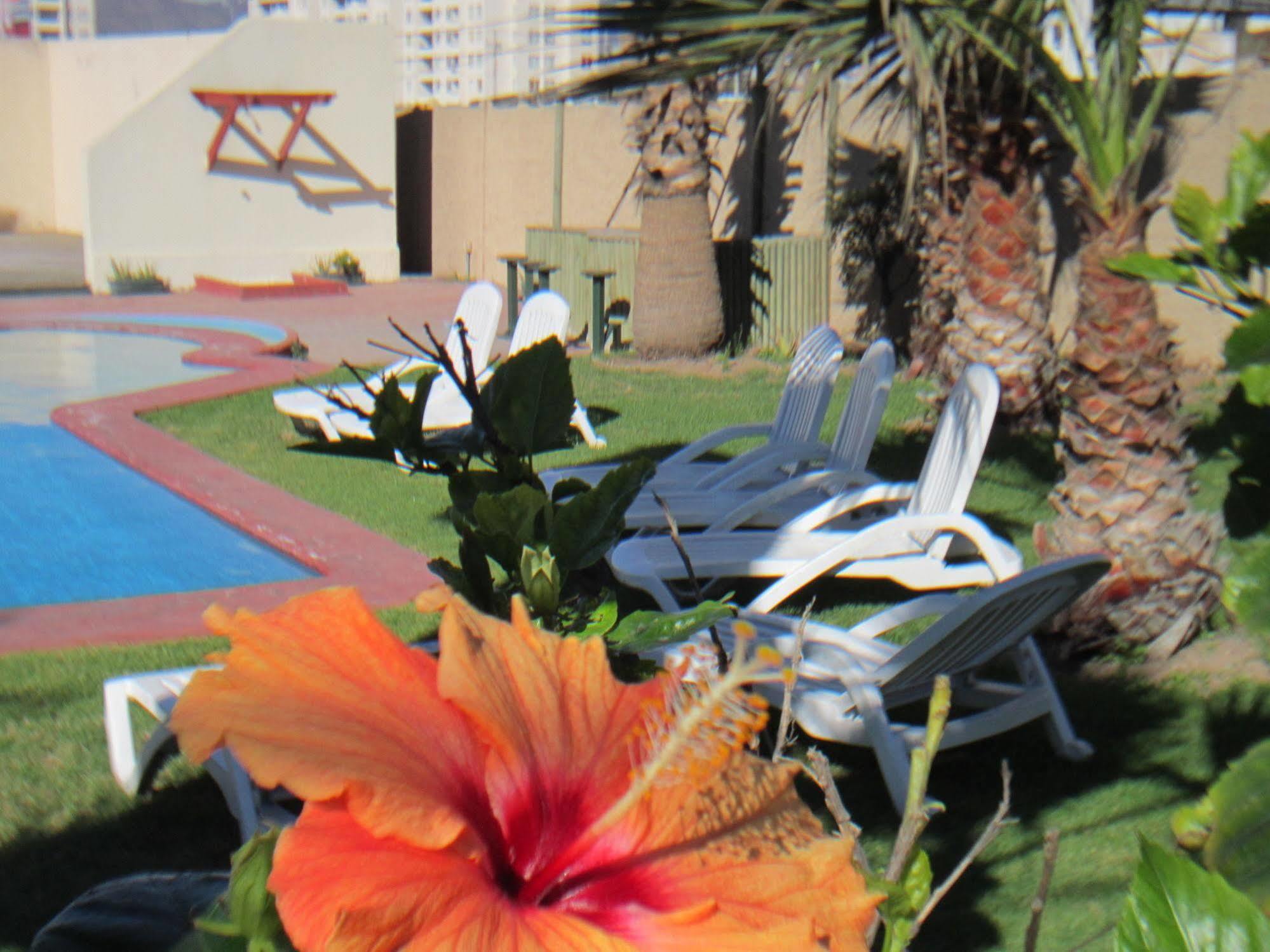 Hotel Canto Del Mar La Serena Ngoại thất bức ảnh